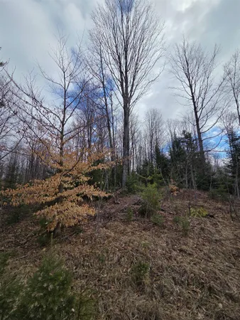 $399,000 | County Road, Amberg, WI 54102