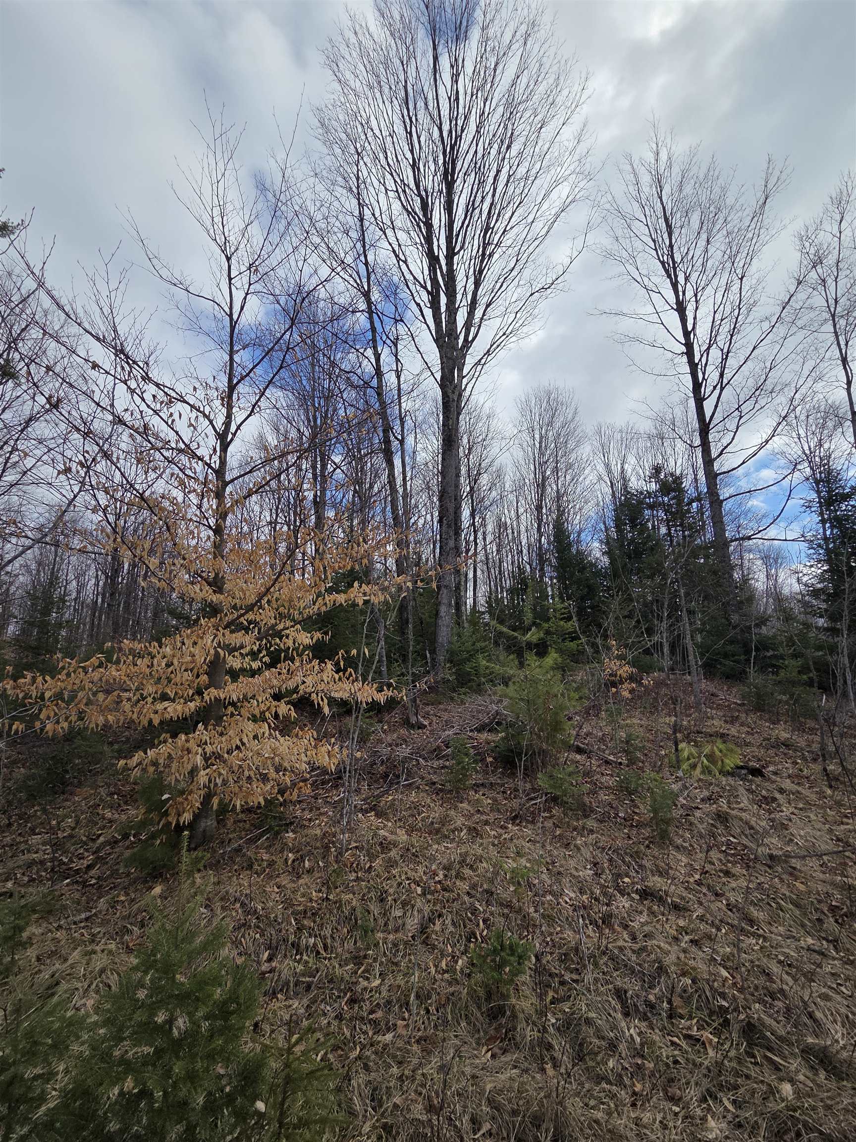 County Road Amberg, WI 54102 - Photo 9 of 11