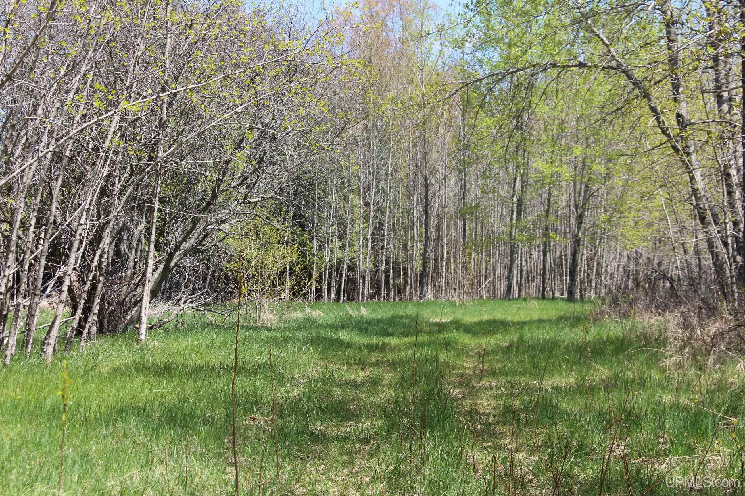 23.5 Rd Gladstone Mi 49837 Road Gladstone, MI 49837 - Photo 35 of 50