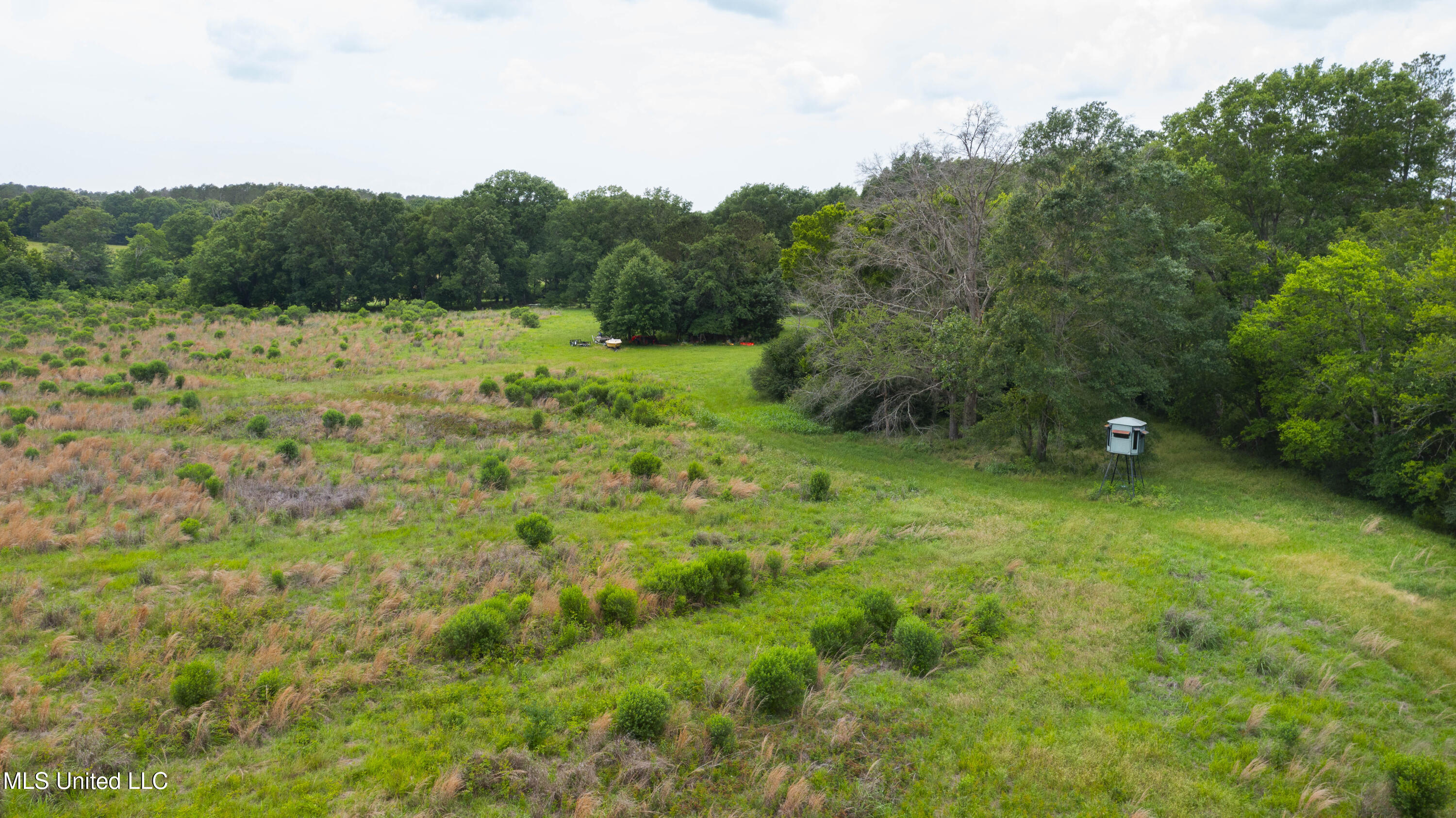 Horseshoe Lane Flora, MS 39071 - Photo 13 of 16 45 Acres Horseshoe Ln-13
