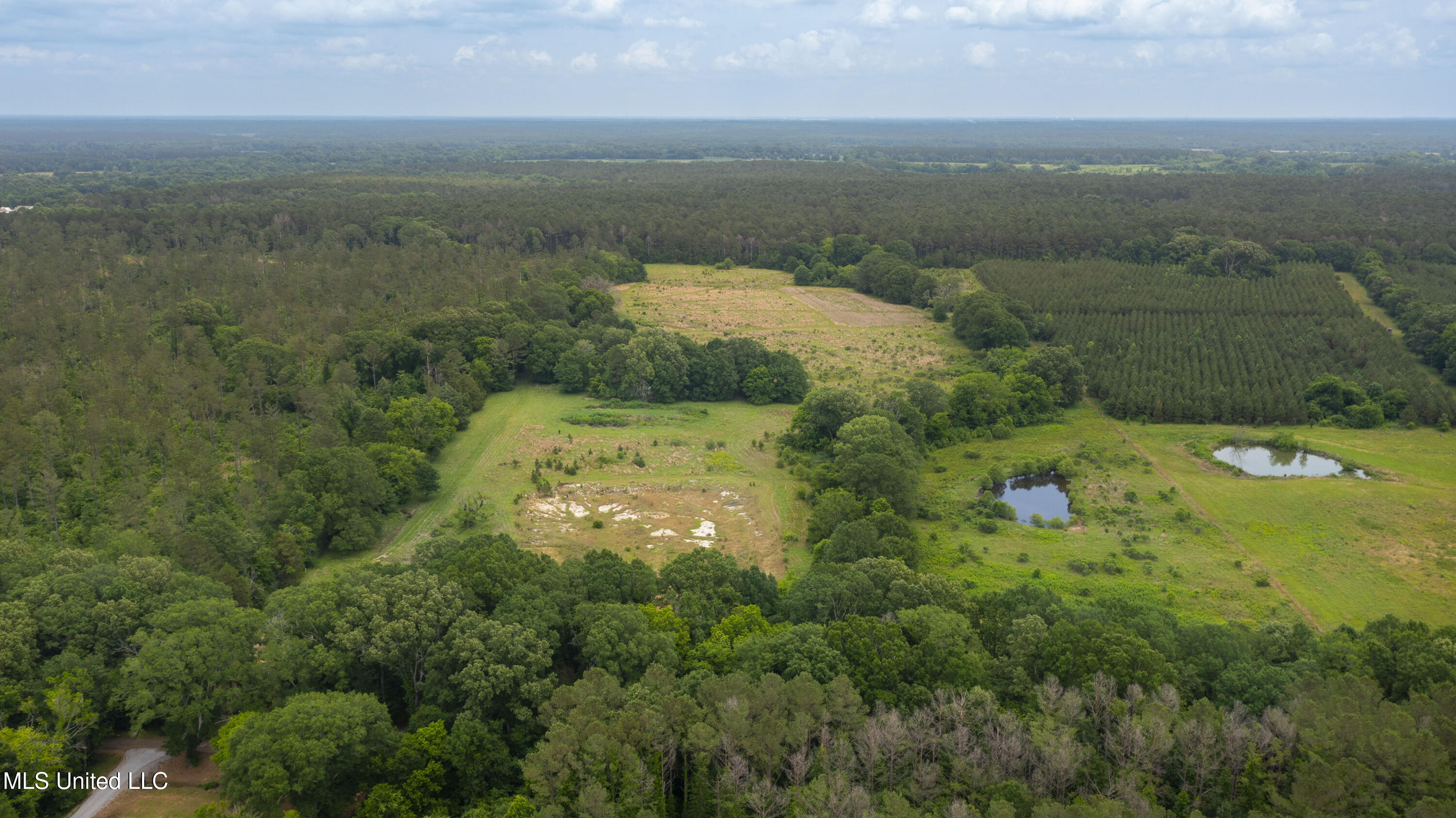 Horseshoe Lane Flora, MS 39071 - Photo 2 of 16 45 Acres Horseshoe Ln-1