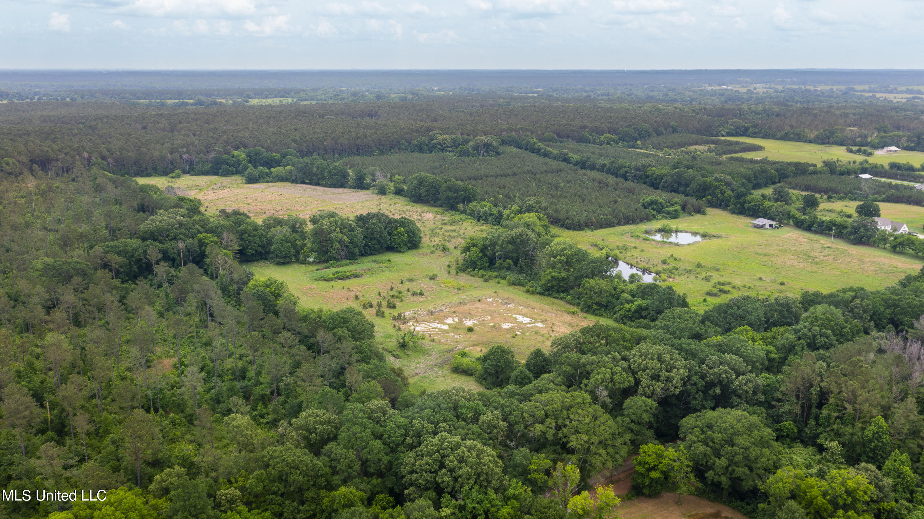 Horseshoe Lane Flora, MS 39071 - Photo 3 of 16 45 Acres Horseshoe Ln-3