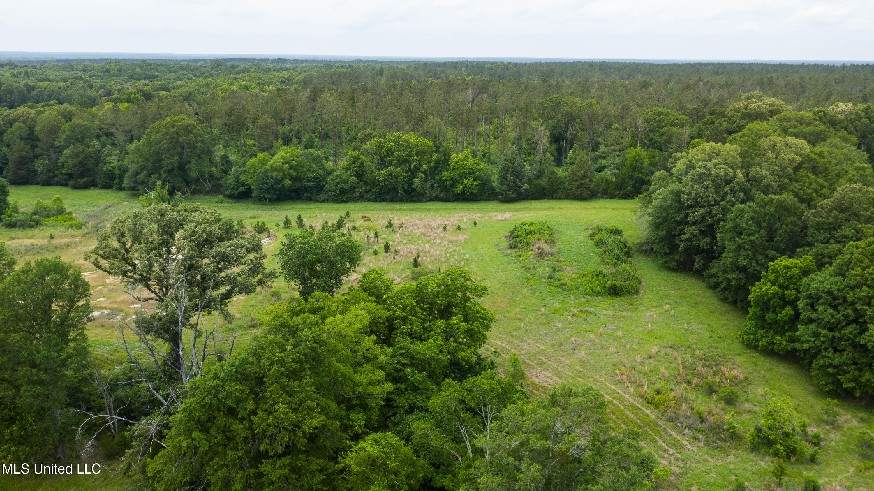 Horseshoe Lane Flora, MS 39071 - Photo 8 of 16 45 Acres Horseshoe Ln-8