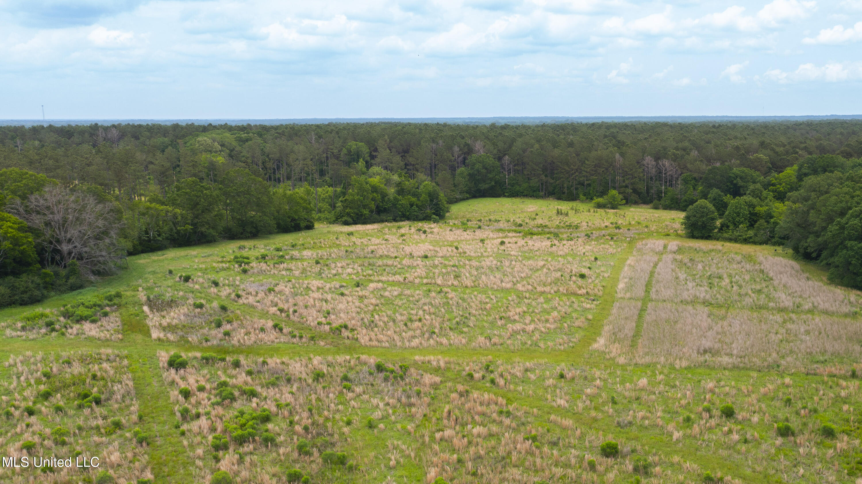 Horseshoe Lane Flora, MS 39071 - Photo 10 of 16 45 Acres Horseshoe Ln-10