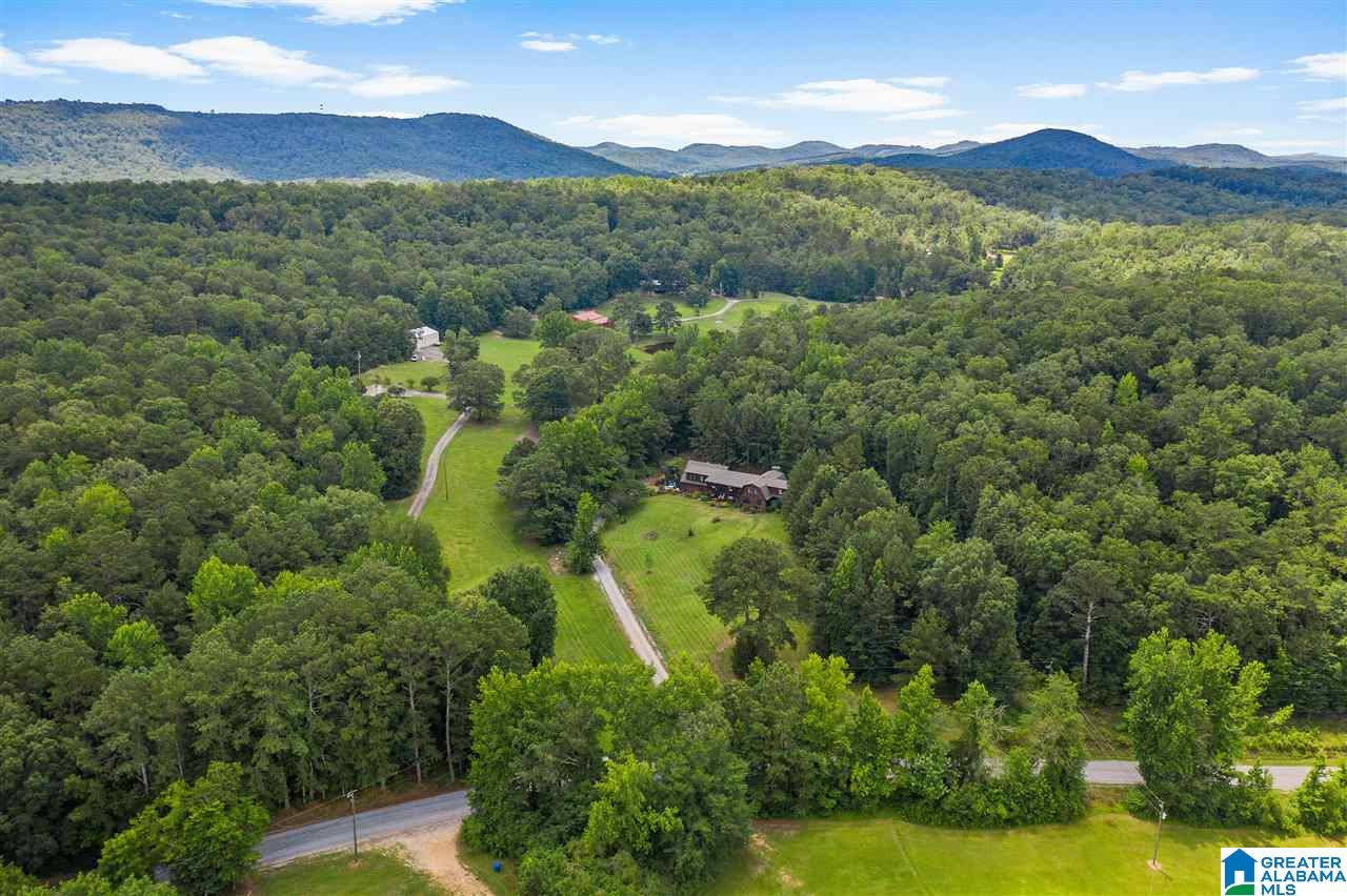 2098 Red Valley Road Remlap, AL 35133 - Photo 43 of 47