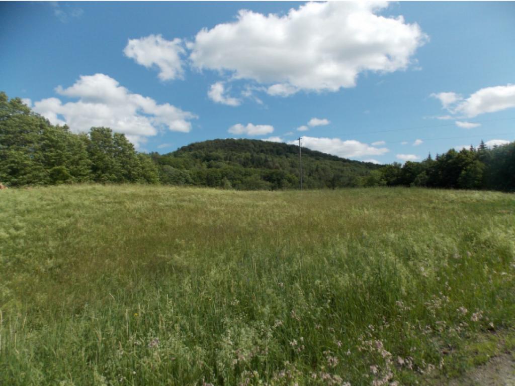 250 Holliday Road Albany, VT 05875 - Photo 4 of 35