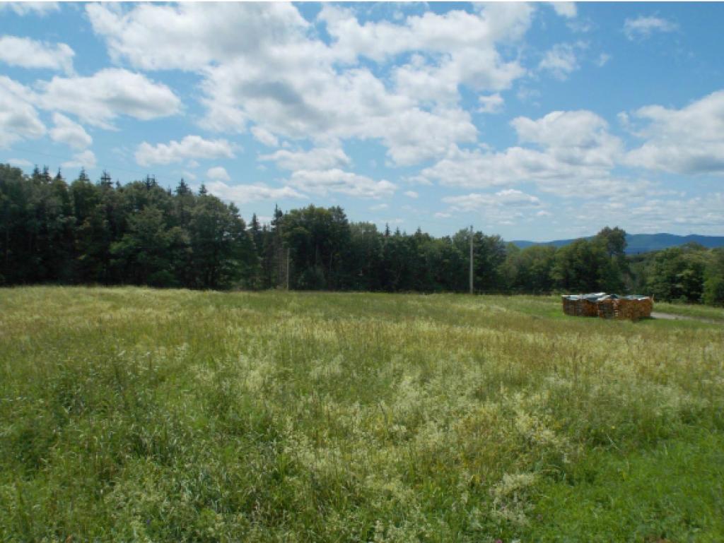 250 Holliday Road Albany, VT 05875 - Photo 32 of 35