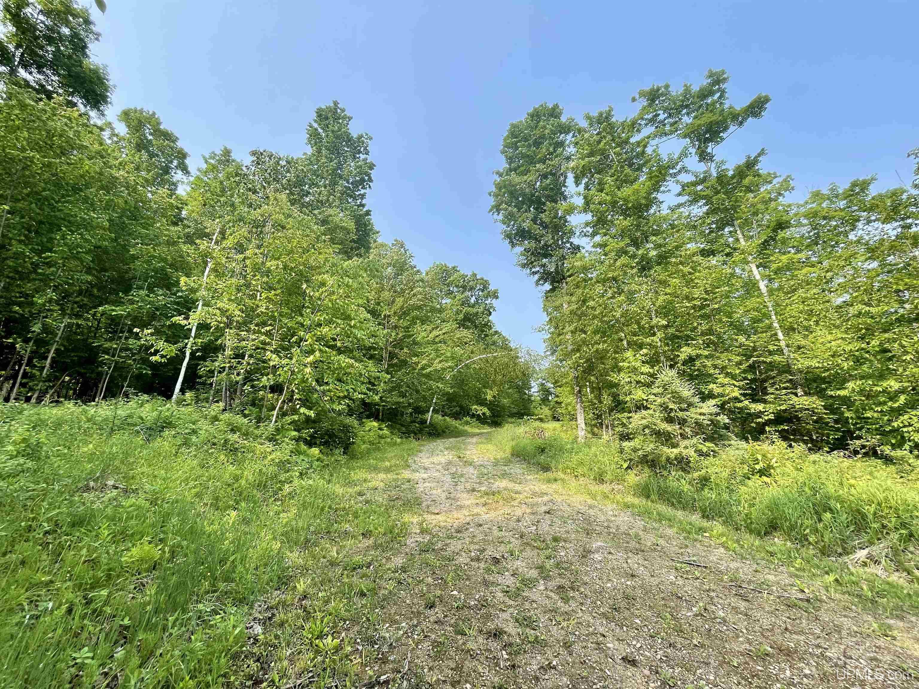 Nine Rd Felch Mi 49831 Road Felch, MI 49831 - Photo 9 of 16