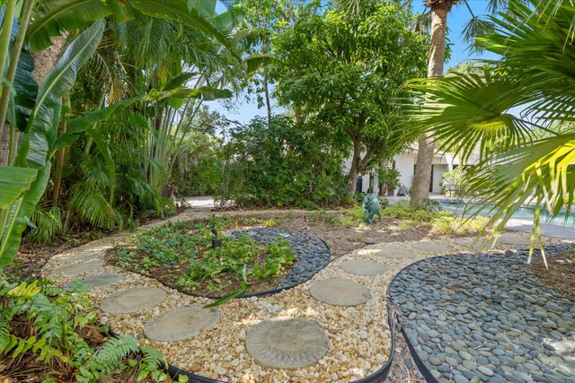 a view of a backyard with potted plants