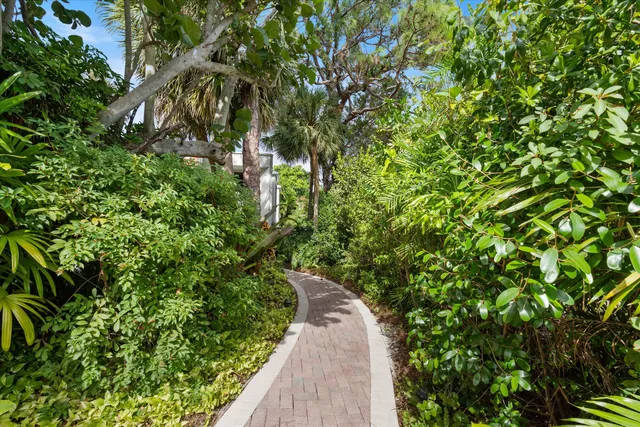 a view of a backyard