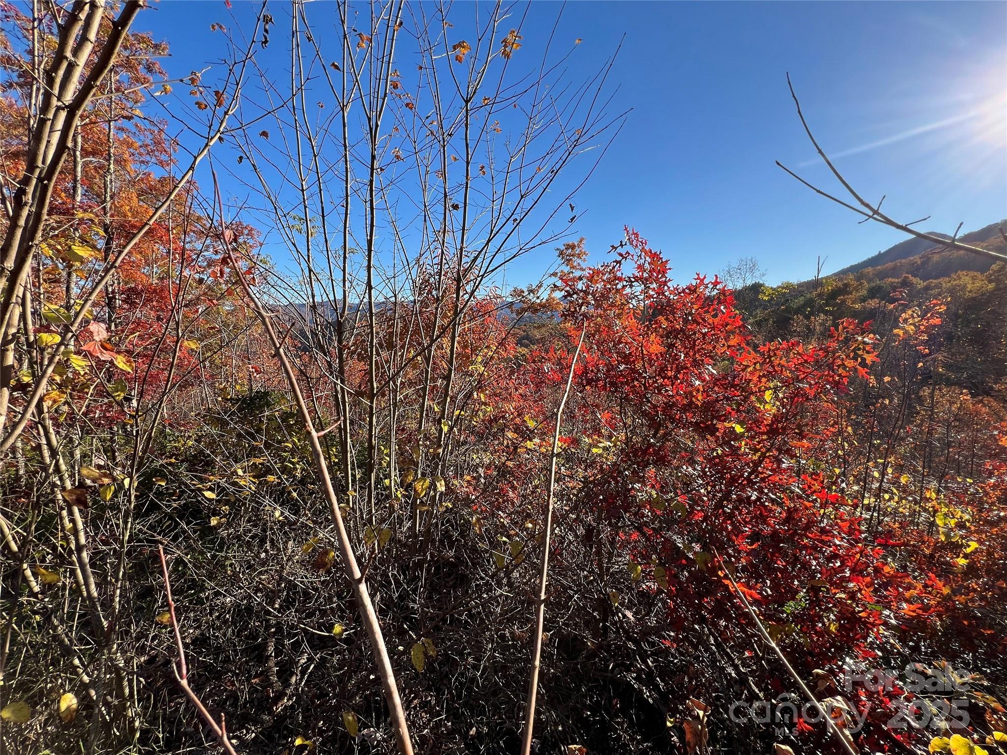 a view of a backyard of the house