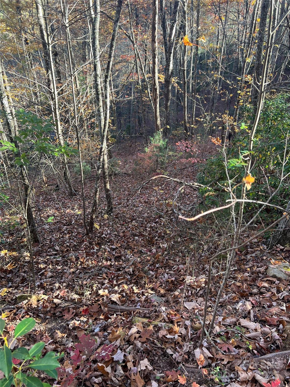 Lot 66 Musket Road Bryson City, NC 28713 - Photo 5 of 8 a backyard of a house with lots of green space