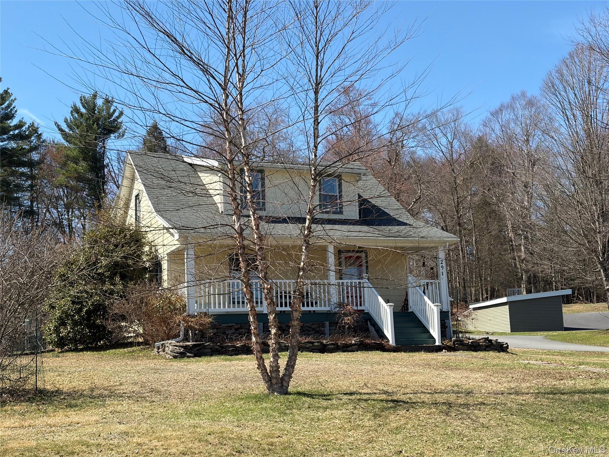 291 Behr Road Jeffersonville, NY 12748 - Photo 3 of 50