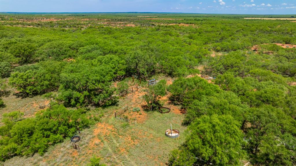 179 County Road Trent, TX 79561 - Photo 23 of 28
