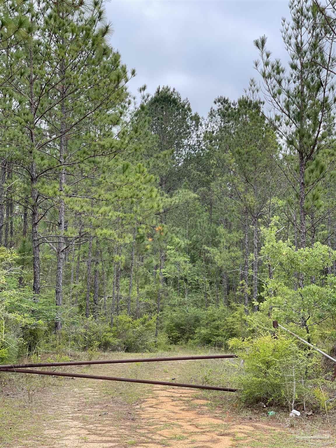 F Knowles Road Flomaton, AL 36441 - Photo 11 of 21
