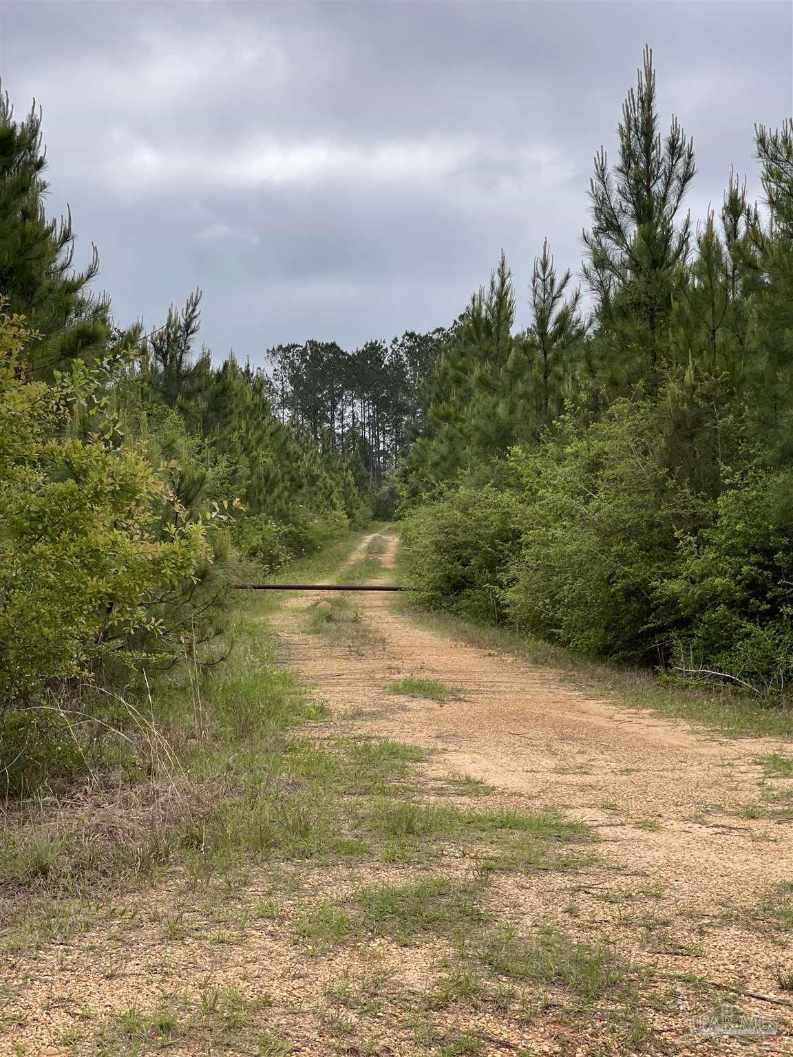 F Knowles Road Flomaton, AL 36441 - Photo 12 of 21