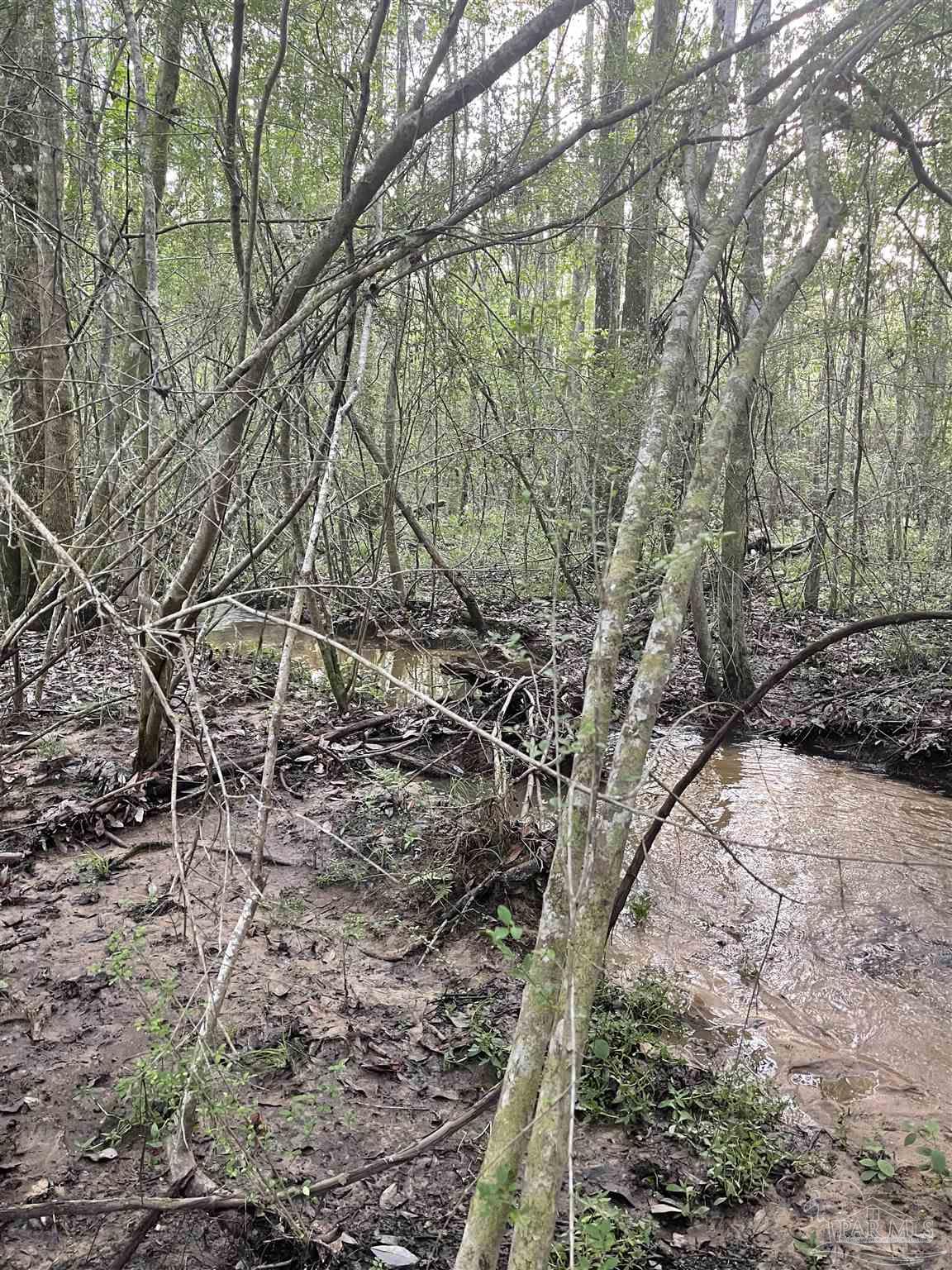 F Knowles Road Flomaton, AL 36441 - Photo 13 of 21