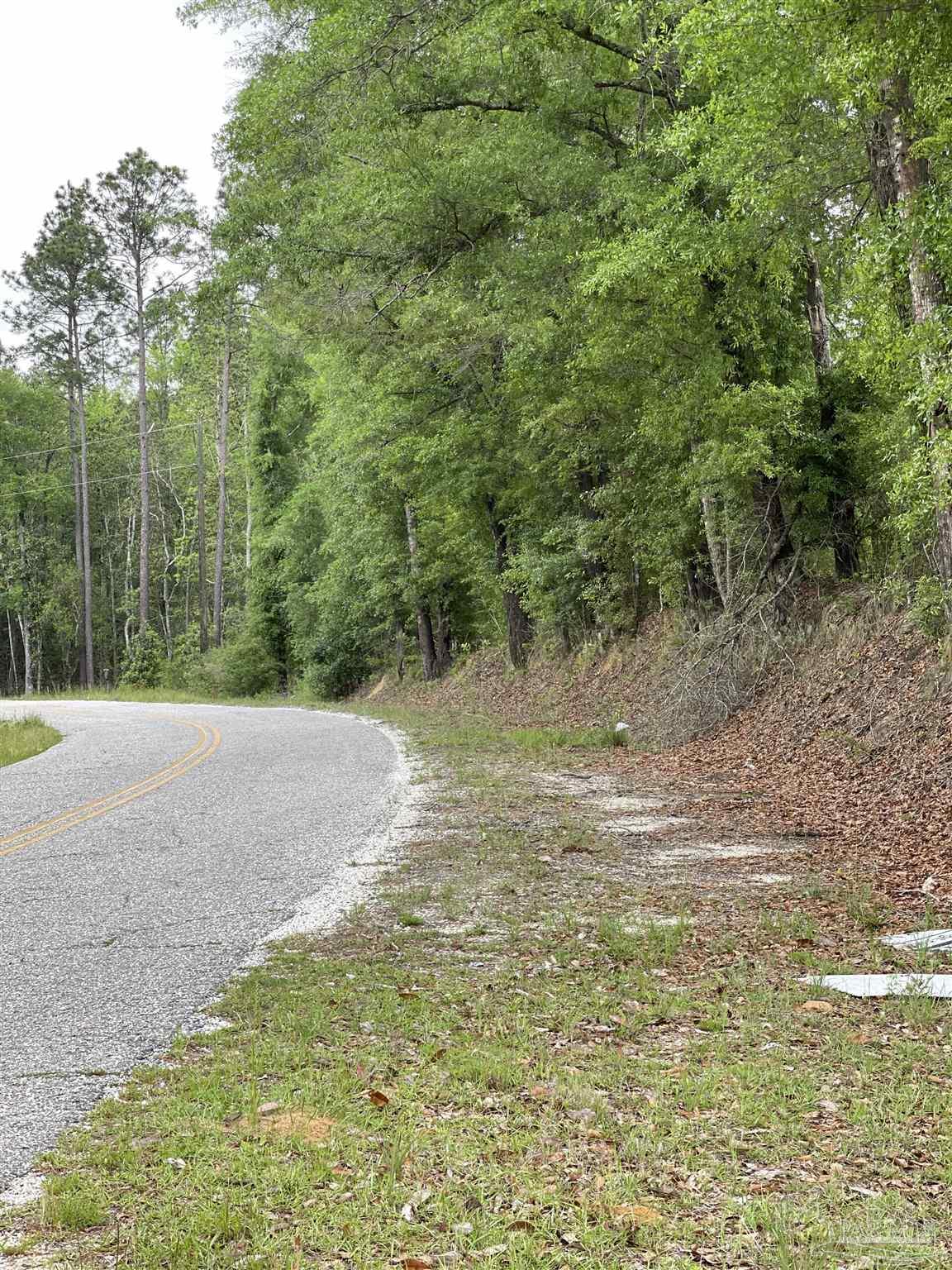 F Knowles Road Flomaton, AL 36441 - Photo 3 of 21