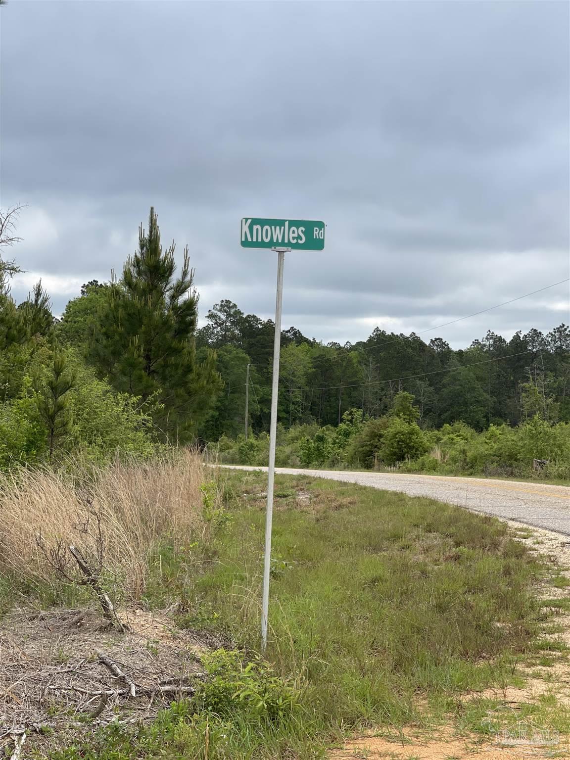 F Knowles Road Flomaton, AL 36441 - Photo 4 of 21