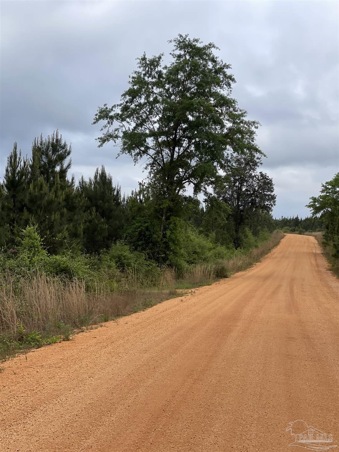 F Knowles Road Flomaton, AL 36441 - Photo 5 of 21