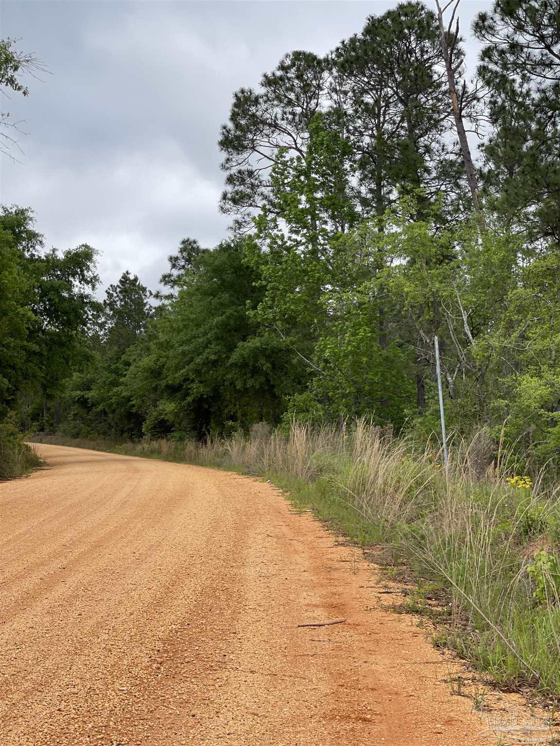 F Knowles Road Flomaton, AL 36441 - Photo 7 of 21