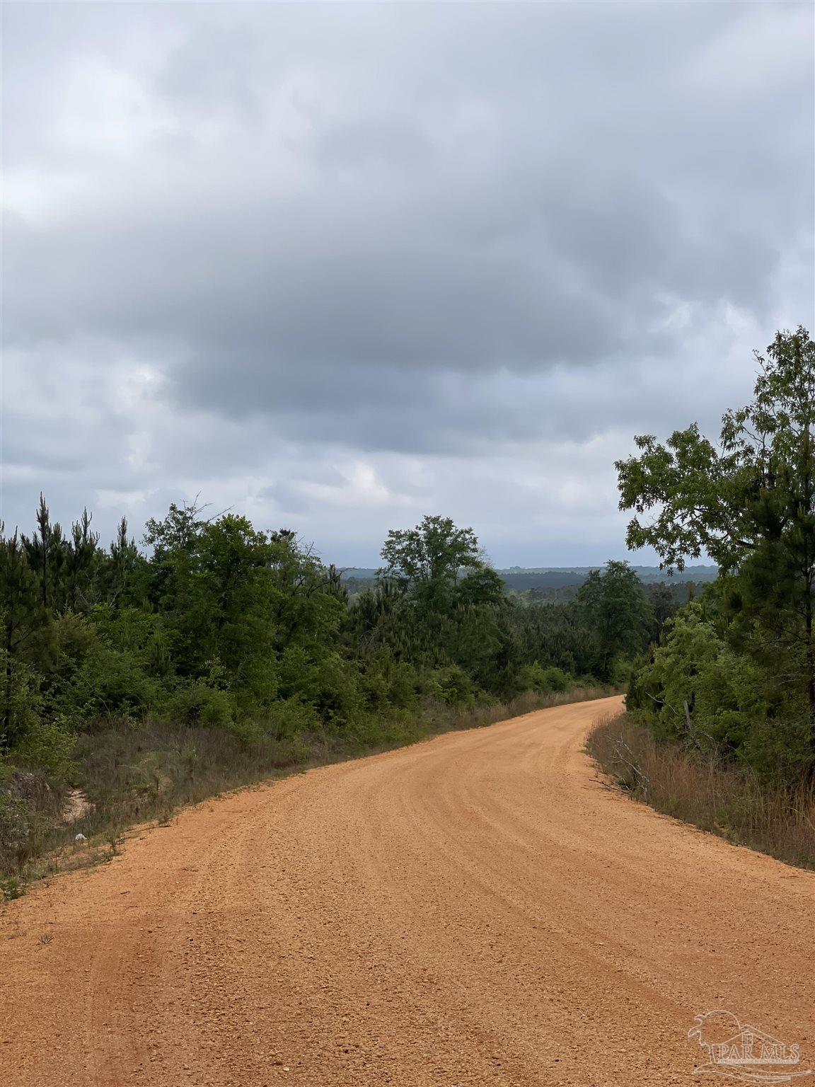 F Knowles Road Flomaton, AL 36441 - Photo 9 of 21