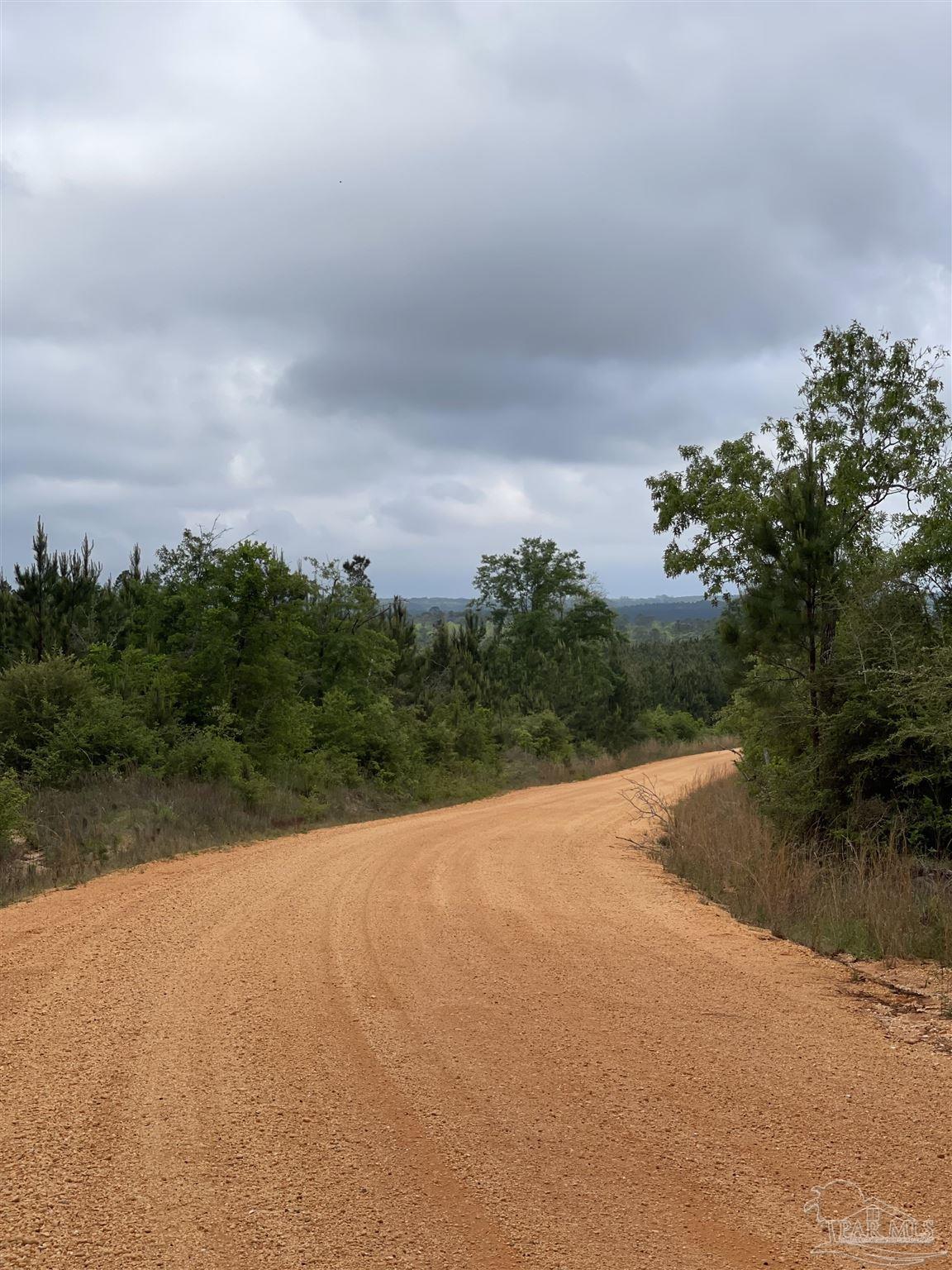F Knowles Road Flomaton, AL 36441 - Photo 10 of 21