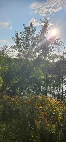 $1,550 | 5534 East Lake Drive, Unit E, Lisle, IL 60532