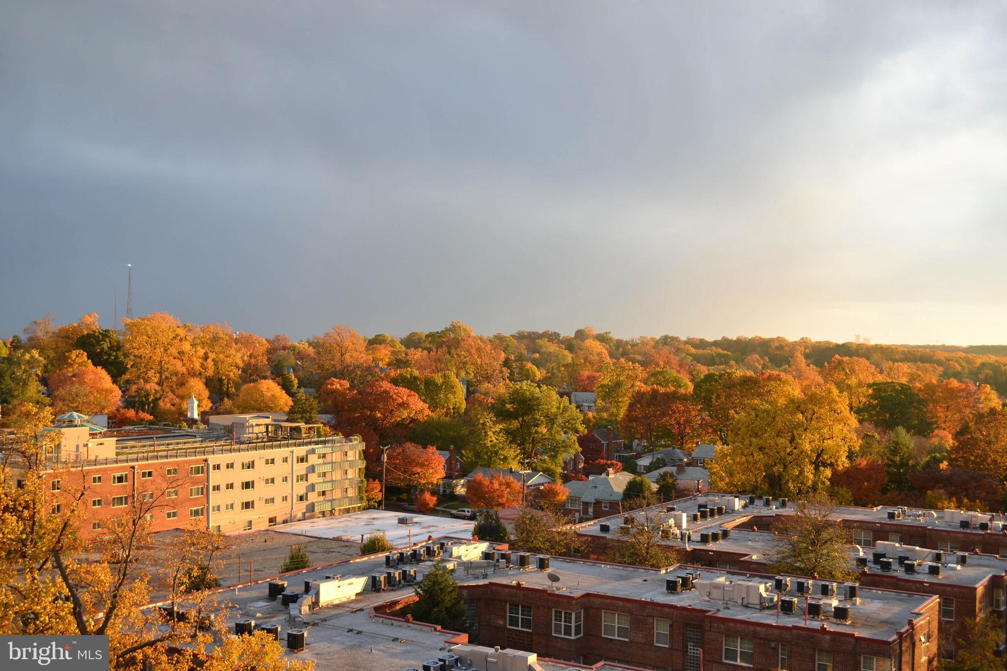 1220 Blair Mill Road, Unit 1001 Silver Spring, MD 20910 - Photo 22 of 34 Fall View From Unit