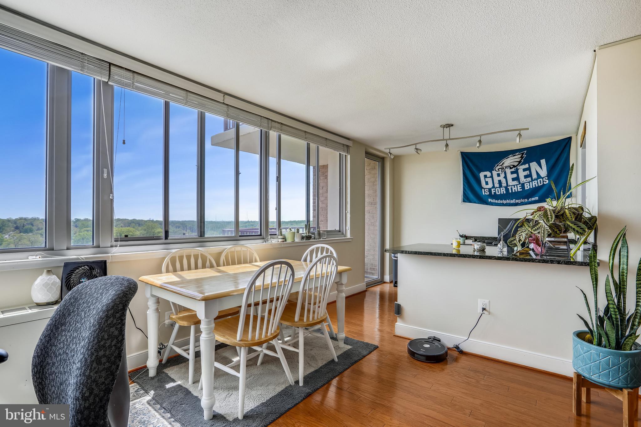 1220 Blair Mill Road, Unit 1001 Silver Spring, MD 20910 - Photo 5 of 34