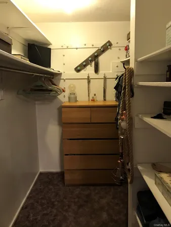 a view of walk in closet