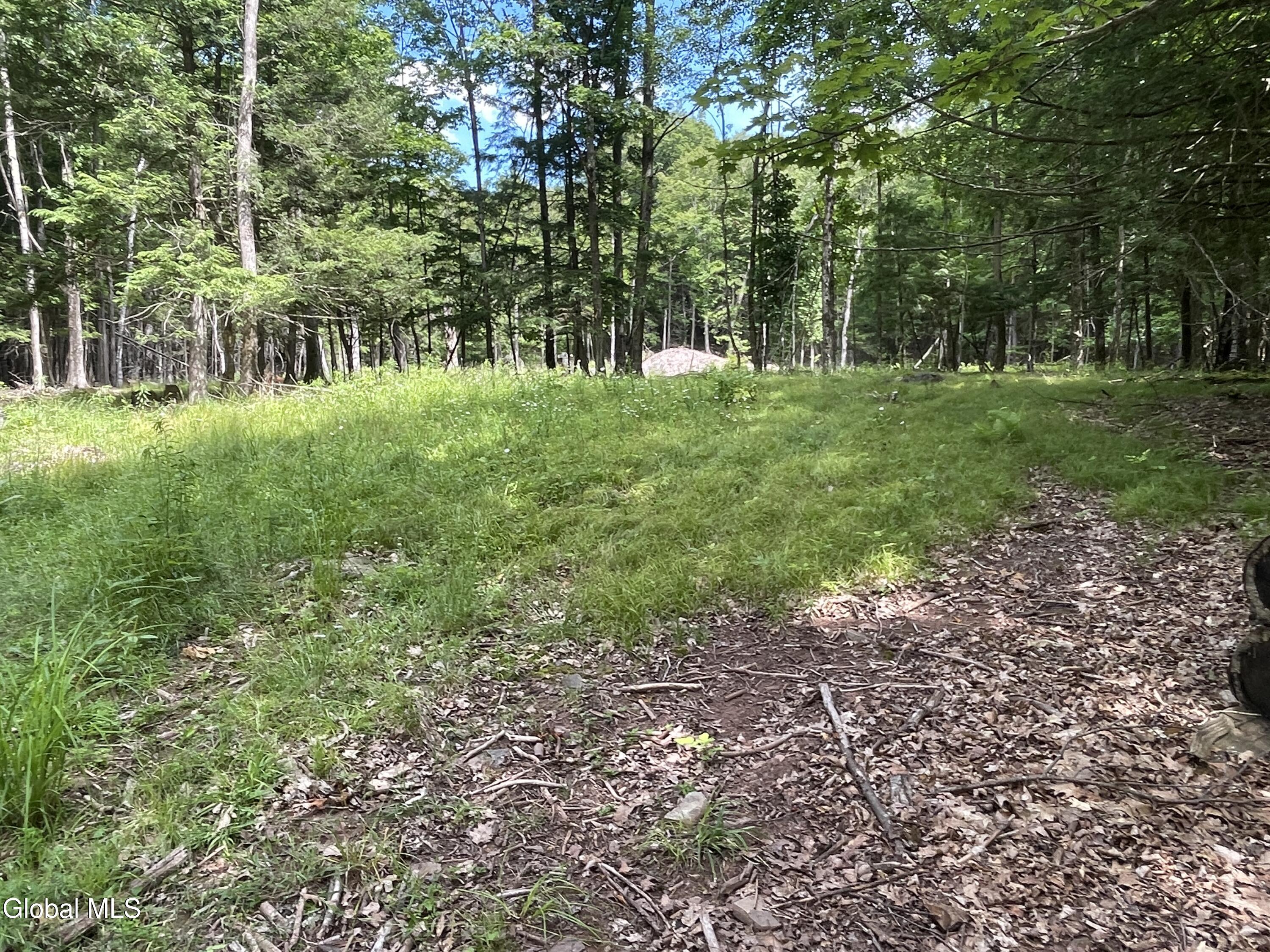 L36 Boulder Brook Road, Unit LOT # 12 Windham, NY 12496 - Photo 9 of 44 IMG_0596
