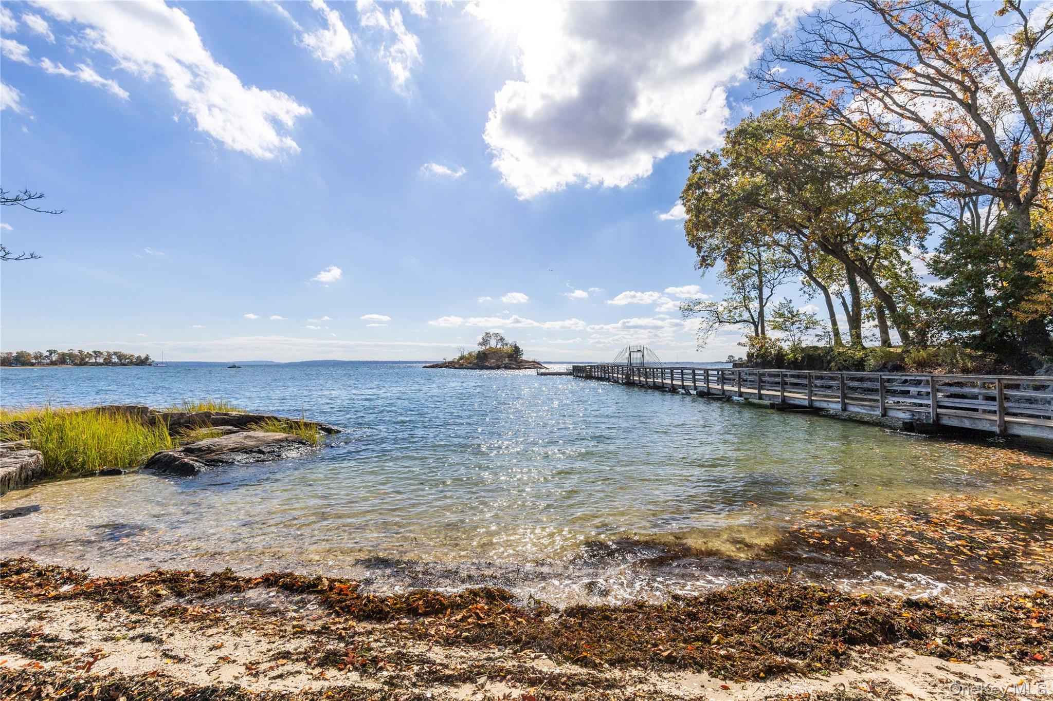 69 Brevoort Lane Rye, NY 10580 - Photo 32 of 36