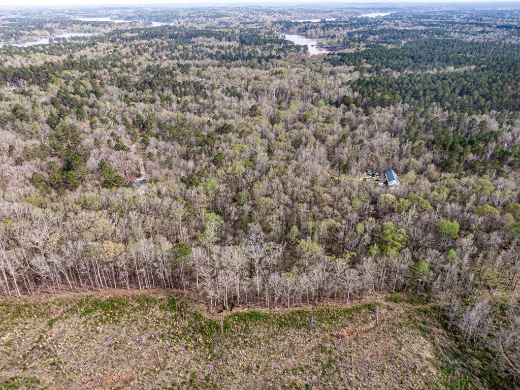Lot 9 Old Copelan Road Eatonton, GA 31024 - Photo 16 of 23 Gallery Image 16