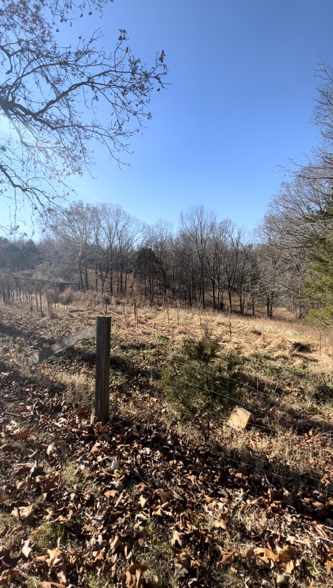 1360 Neptune Road Ashland City, TN 37015 - Photo 17 of 20 Gallery Image 17