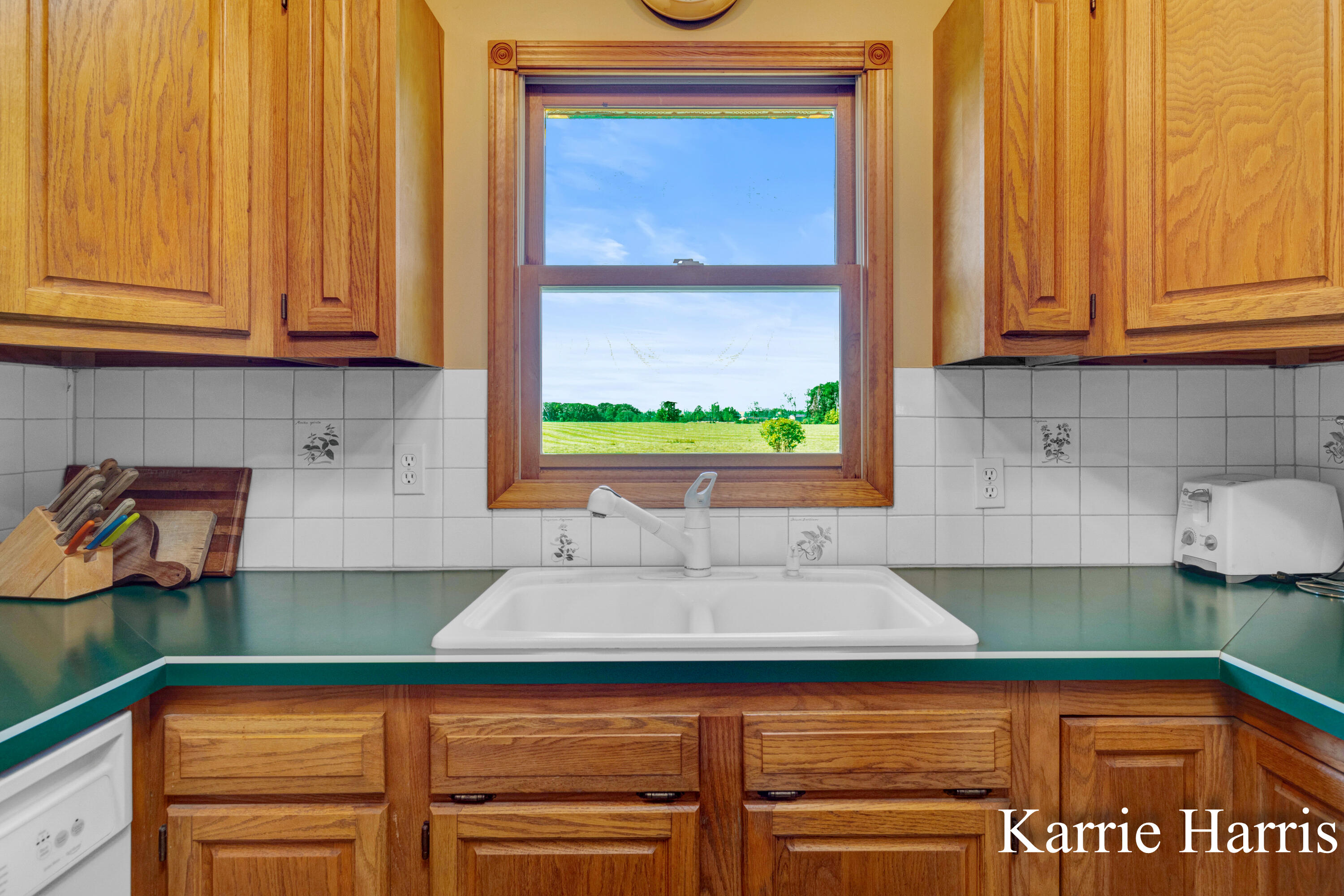 6048 Cedar Lake Road Southeast Sheridan, MI 48884 - Photo 10 of 39 Kitchen view of pond