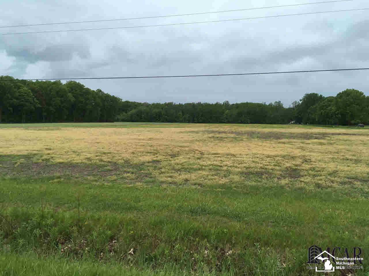 1 Hoffman Road Maybee, MI 48159 - Photo 2 of 4