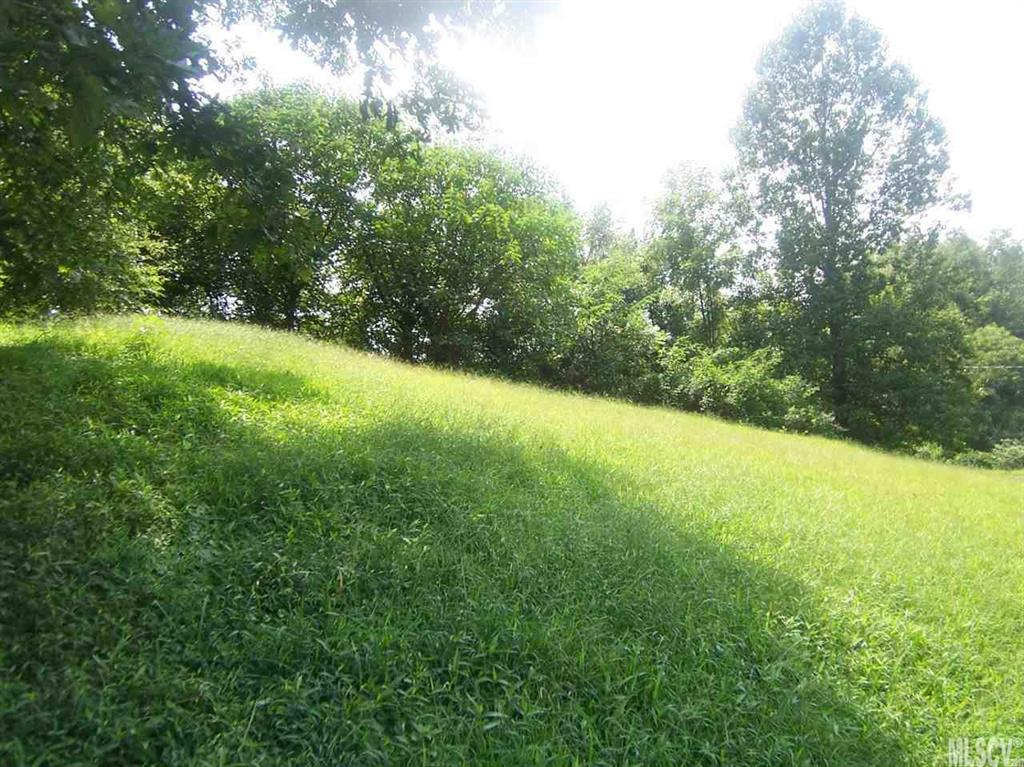 2796 Rhoney Farm Road Vale, NC 28168 - Photo 6 of 10 Gallery Image 6