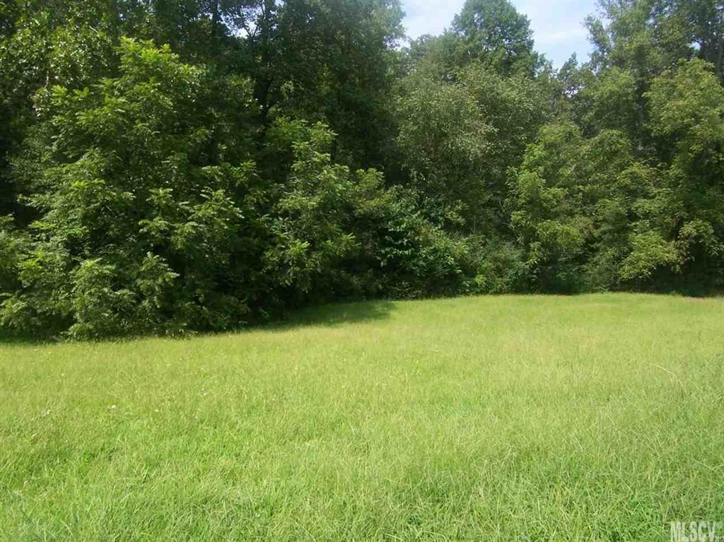 2796 Rhoney Farm Road Vale, NC 28168 - Photo 8 of 10 Gallery Image 8