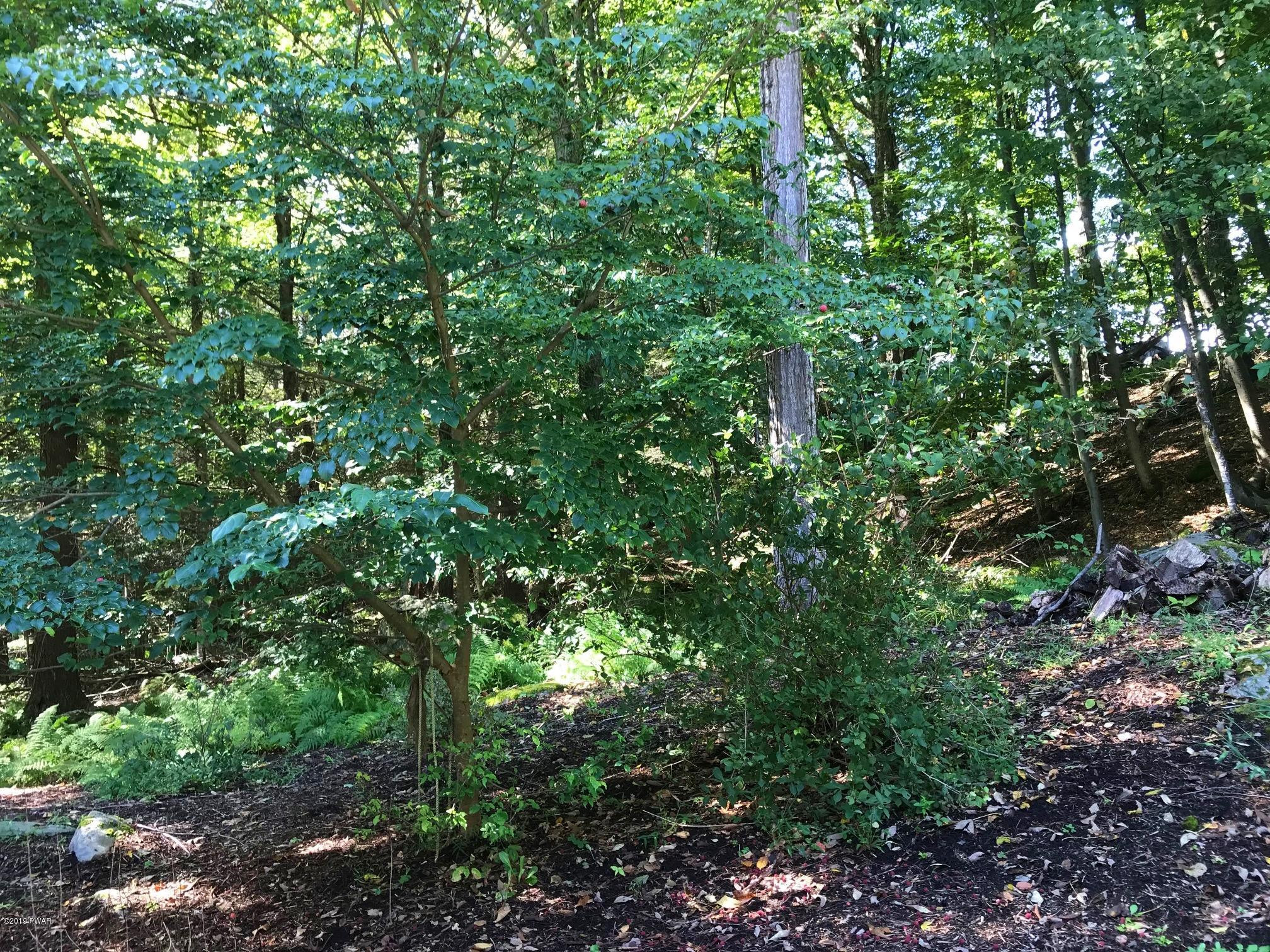3703 Applegate Road Lake Ariel, PA 18436 - Photo 10 of 66