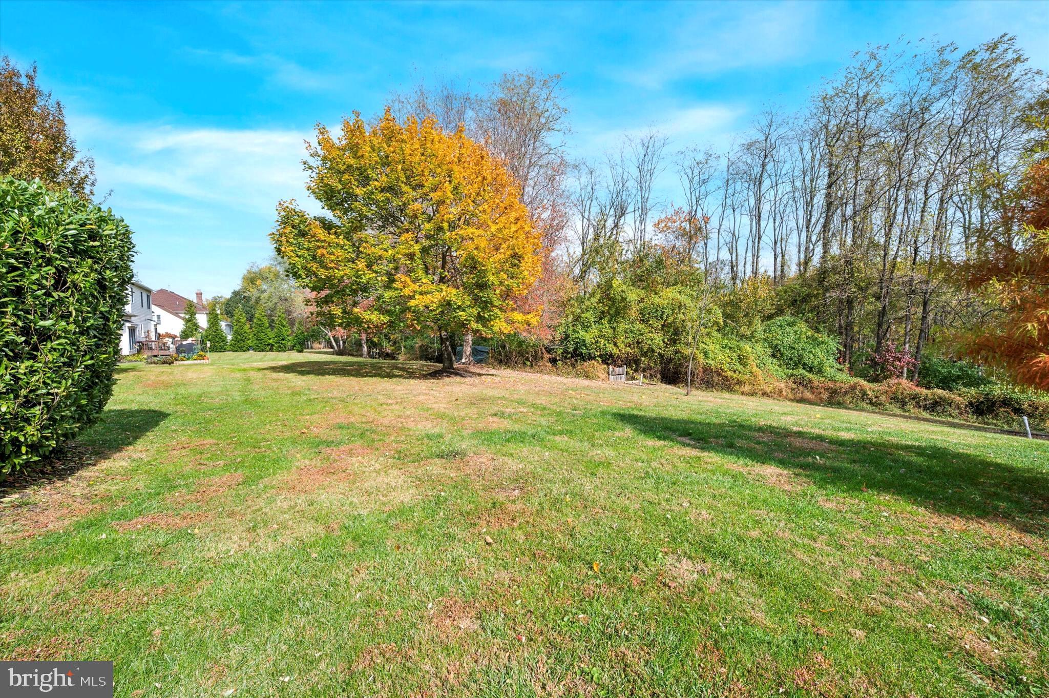 22 Country Run Thornton, PA 19373 - Photo 4 of 4 Premier Lot backing up to protected woods