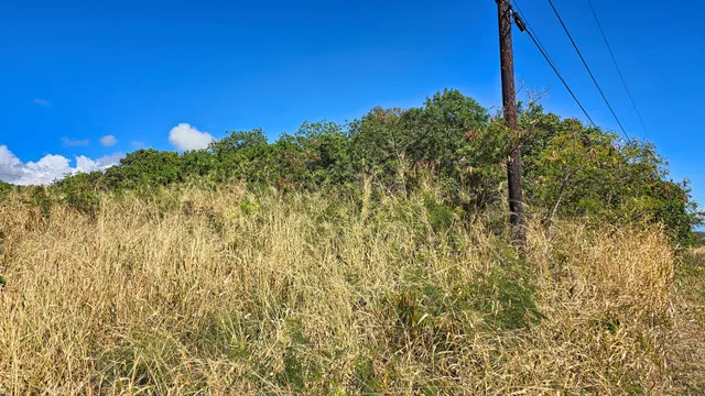 a view of a tall building