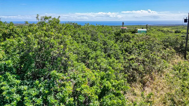 an aerial view of a houses with a yard