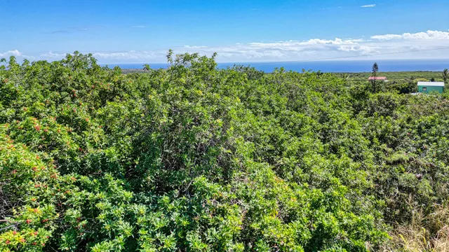 a view of a large yard with lots of green space