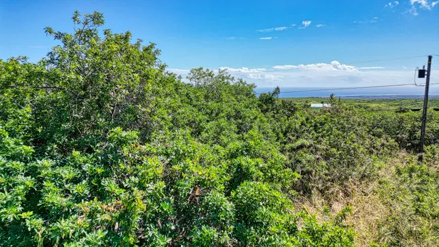 $45,000 | 23 Pele Street, Naalehu, HI 96772