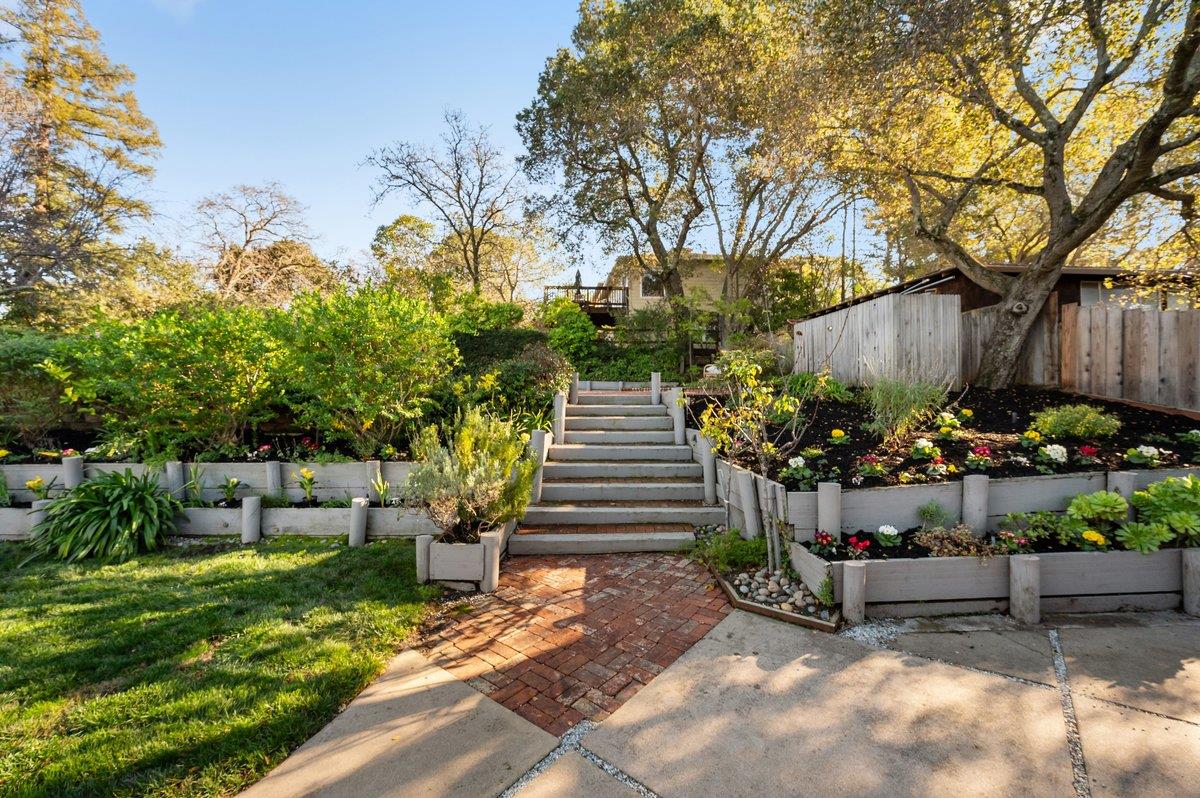 1277 Edgewood Road Redwood City, CA 94062 - Photo 40 of 49 a view of a backyard with plants and a garden