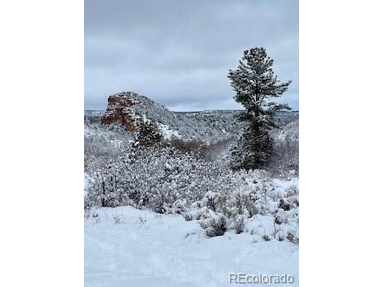 13 Uncompahgre Divide Road Whitewater, CO 81527 - Photo 1 of 9 Gallery Image 1
