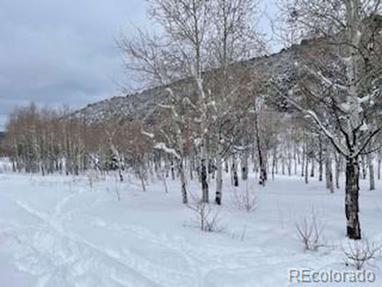 13 Uncompahgre Divide Road Whitewater, CO 81527 - Photo 2 of 9 Gallery Image 2