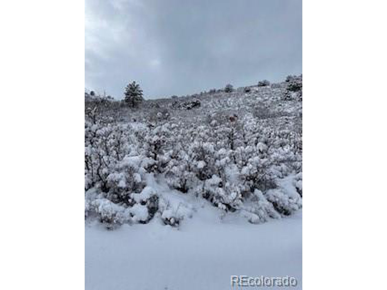 13 Uncompahgre Divide Road Whitewater, CO 81527 - Photo 4 of 9 Gallery Image 4