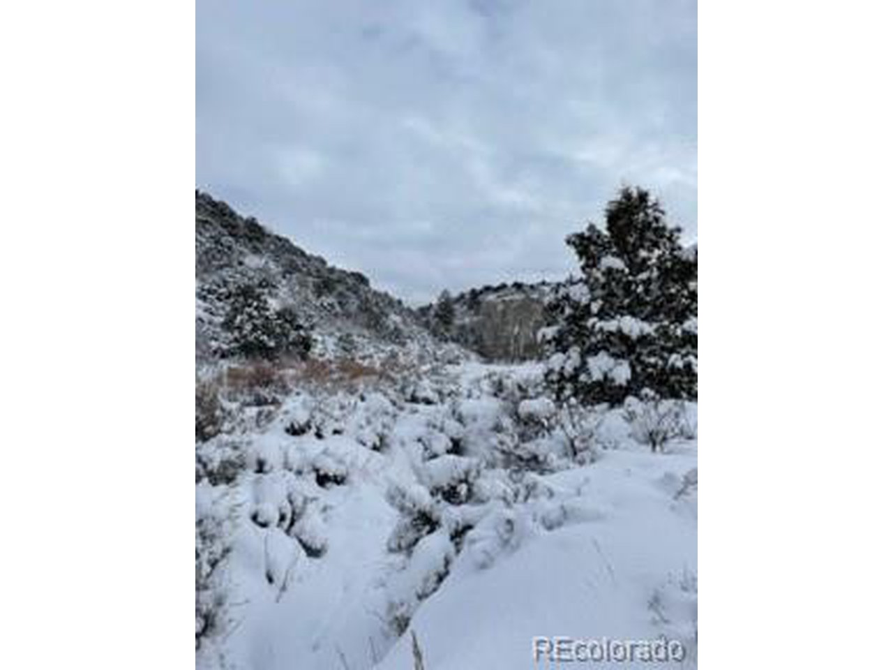 13 Uncompahgre Divide Road Whitewater, CO 81527 - Photo 6 of 9 Gallery Image 6